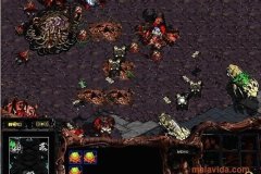 starcraft-5111-1